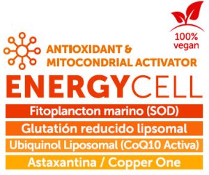 Energy Cell Componentes