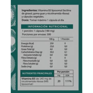 Nicotinamida Ribosa Liposomal - B3 NAD Precursor Contenido